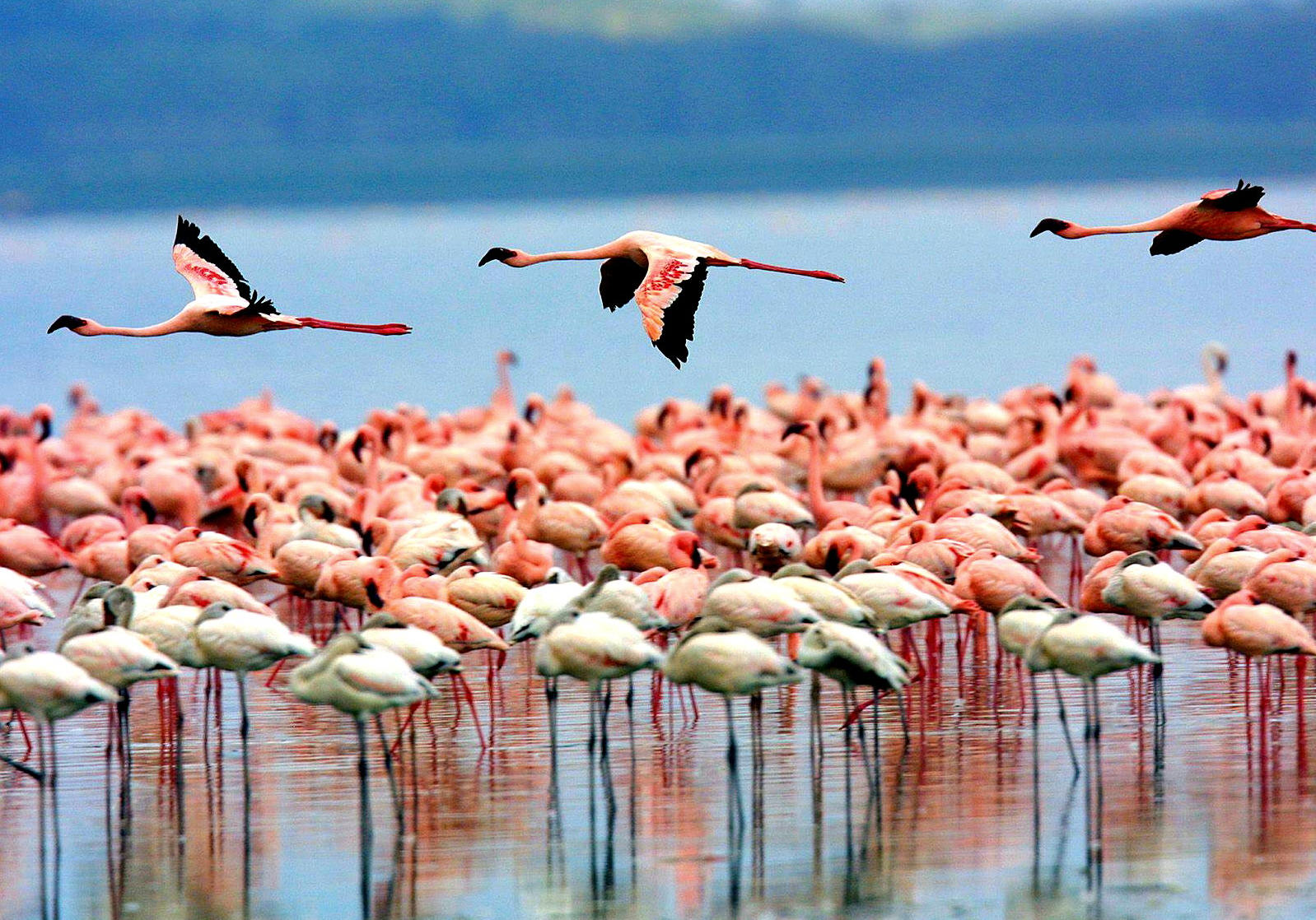 Lake Manyara National Park