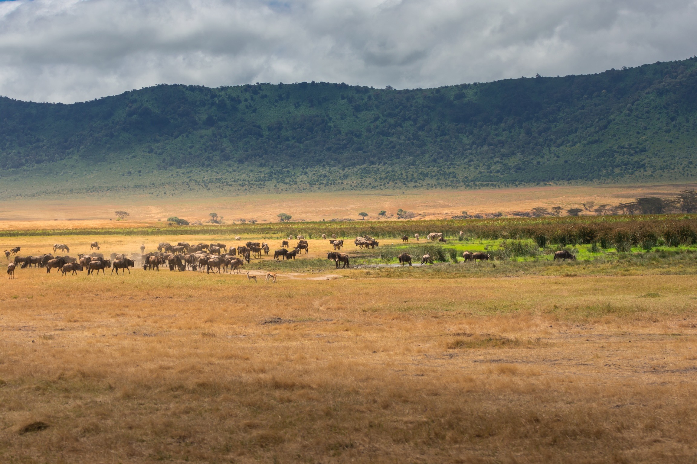 9 Days Safari in Tanzania