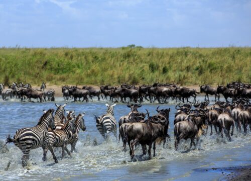 6 Days , 5 Nights Safari in Tanzania