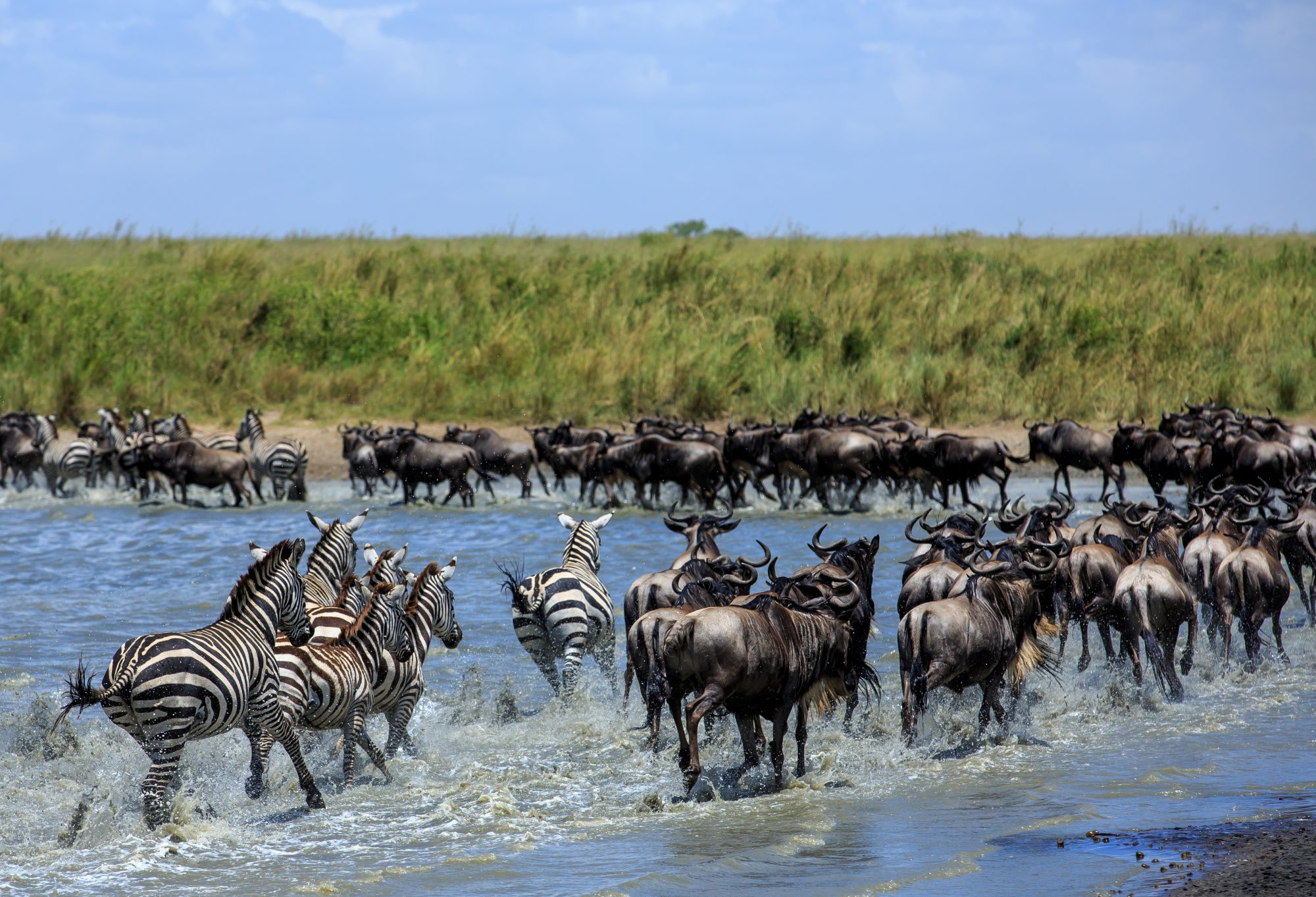 6 Days , 5 Nights Safari in Tanzania