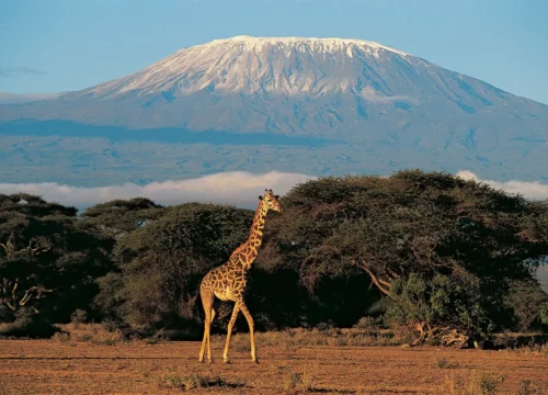 Mount Kilimanjaro