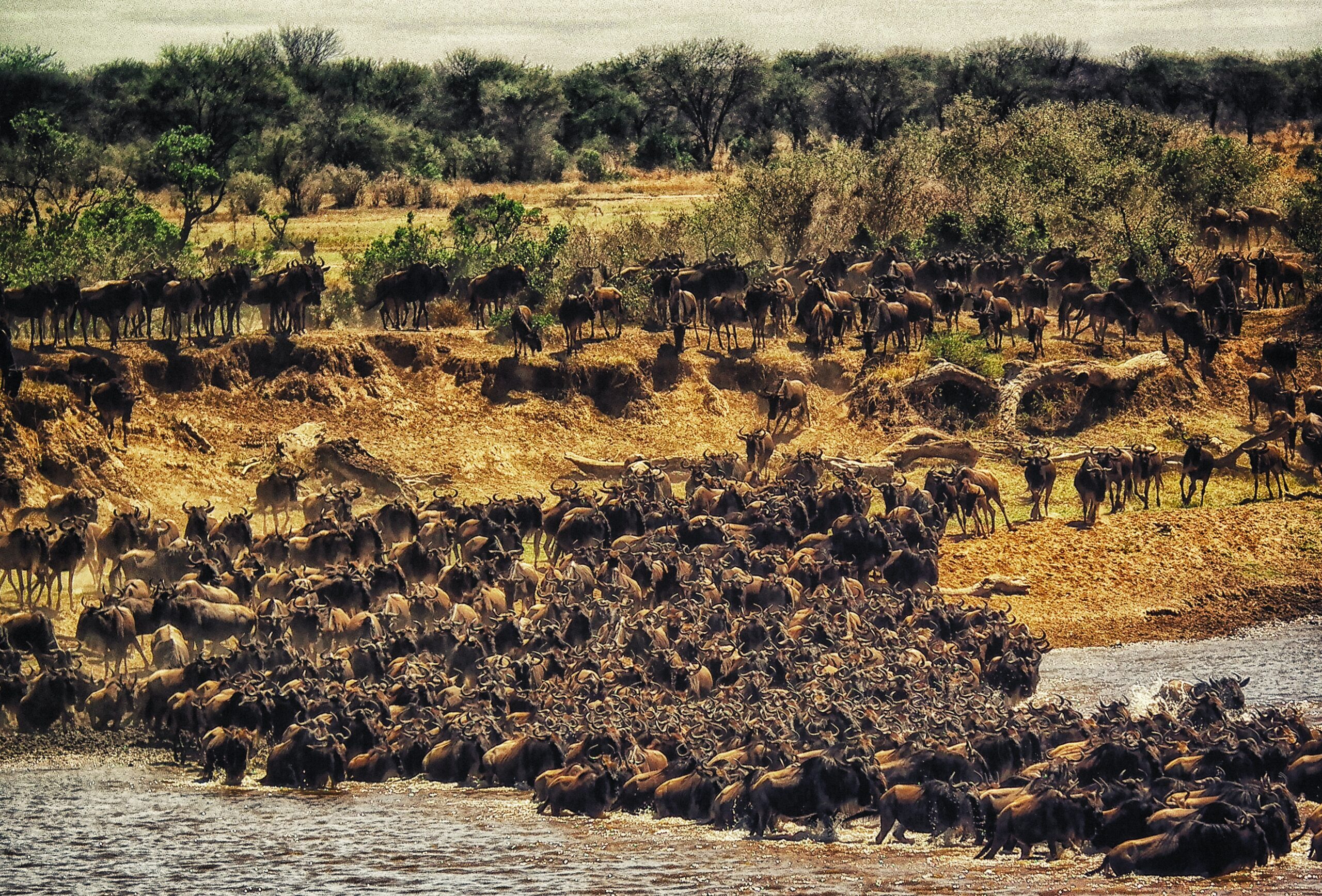 5 Days Tanzania Private Safari