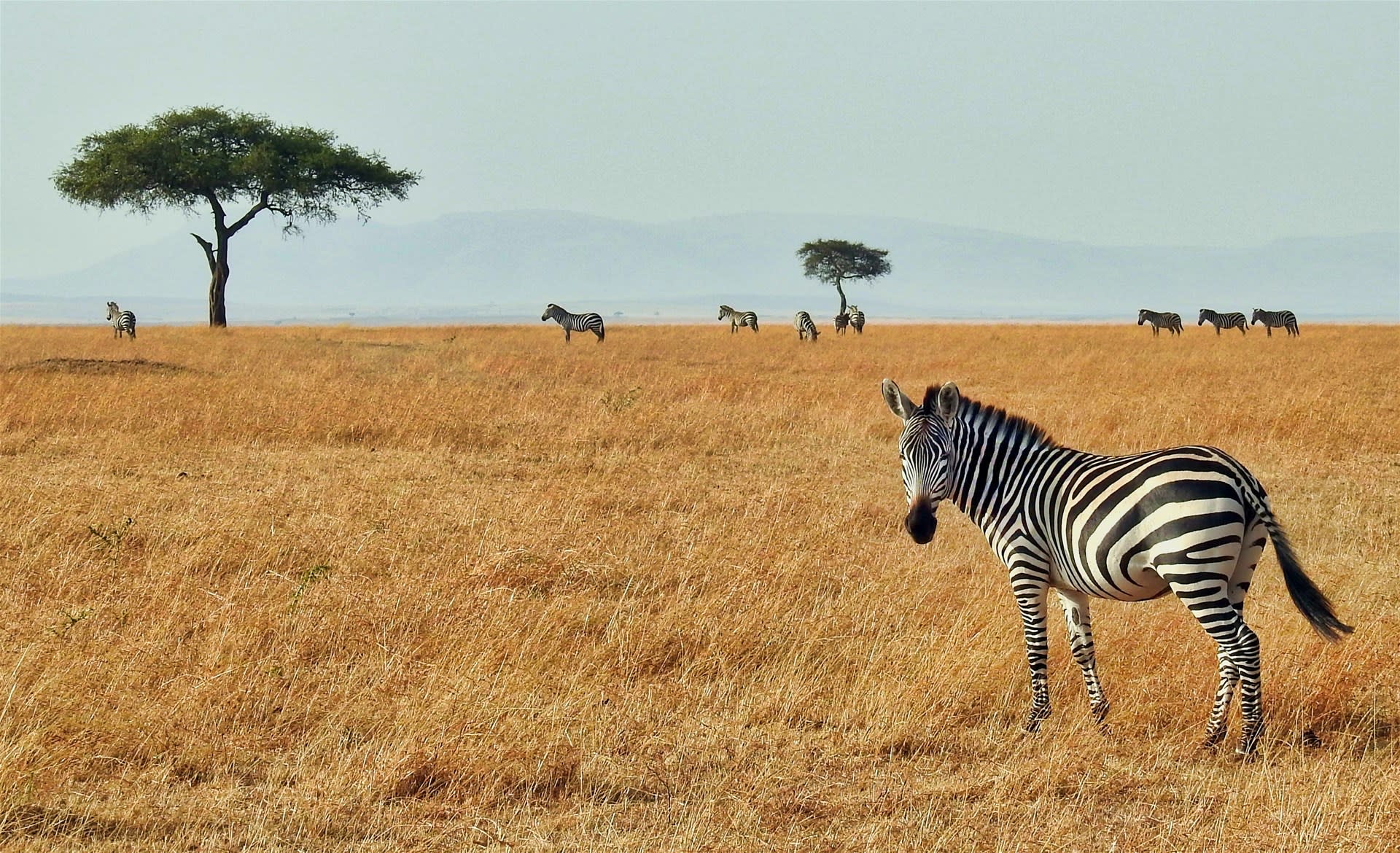 7 Days Tanzania Amazing Safari